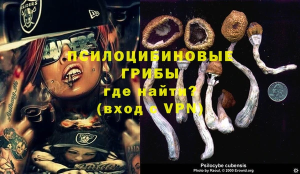 бошки Богородск