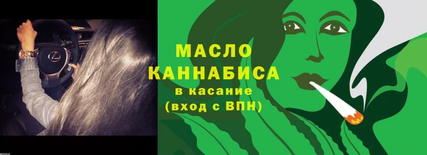 индика Богданович