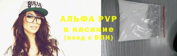 индика Богданович