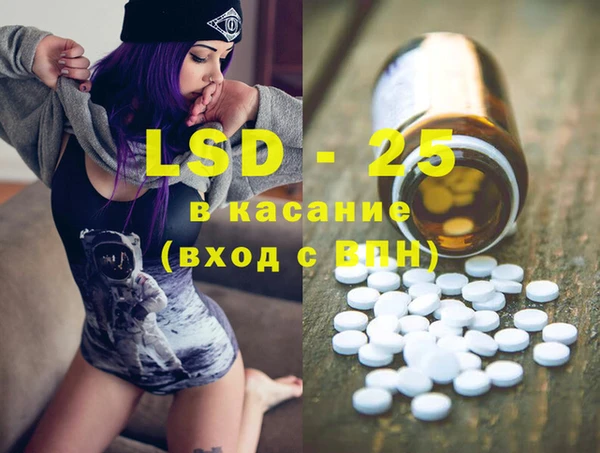 индика Богданович
