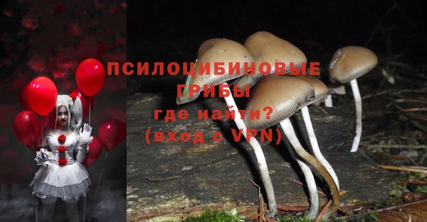 индика Богданович