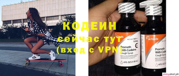 индика Богданович