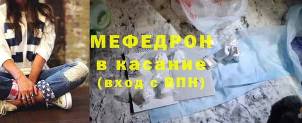 индика Богданович