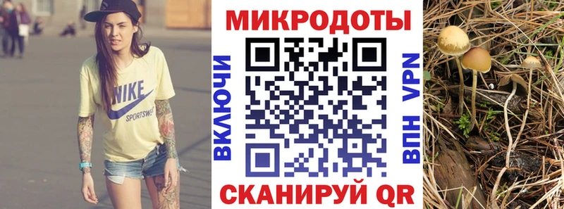 купить наркотики цена Киреевск Галлюциногенные грибы мицелий